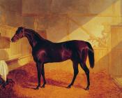 Mr Johnstone's Charles in a Stable - 约翰·弗雷德里克·赫尔林